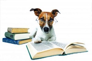 Qeni ne studim